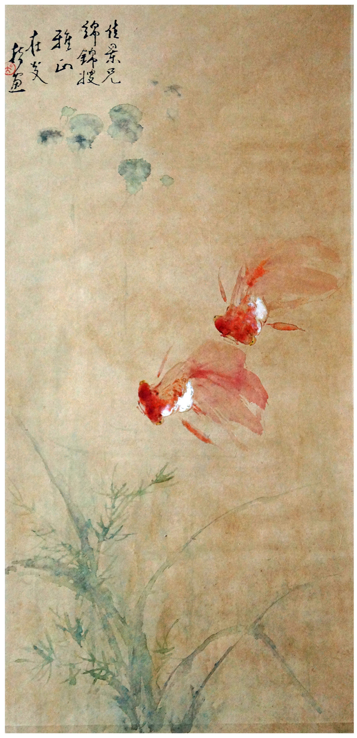 Gold Fish 金鱼- Asia Art Collective