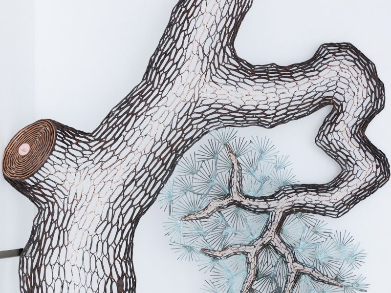 lee_gil_rae_artwork_for_sale_old_pine_trees_iii