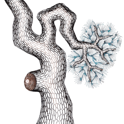 lee_gil_rae_范昌乾_artwork_for_sale_old_pine_trees_ii