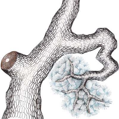 lee_gil_rae_范昌乾_artwork_for_sale_old_pine_trees_iii