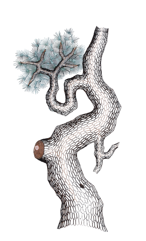 lee_gil_rae_范昌乾_artwork_for_sale_old_pine_trees_iv