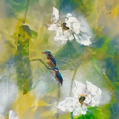 翠鸟赏荷 The Lotus Cradle of the Emerald Bird II