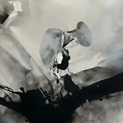 翠鸟赏荷 The Lotus Cradle of the Emerald Bird II