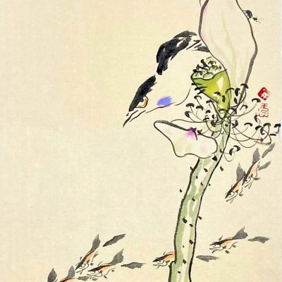 荷花小鱼