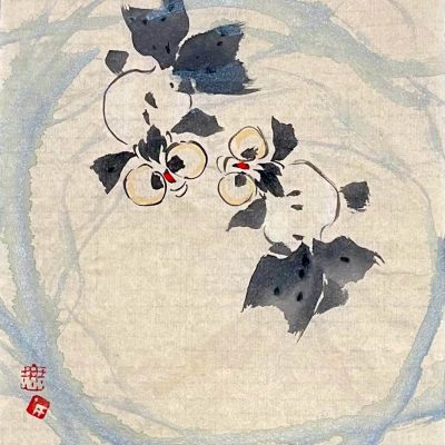双大眼鱼图