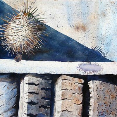Lok Kerk The Puffer fish & Tyres