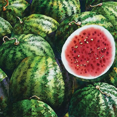 Watermelon No.4