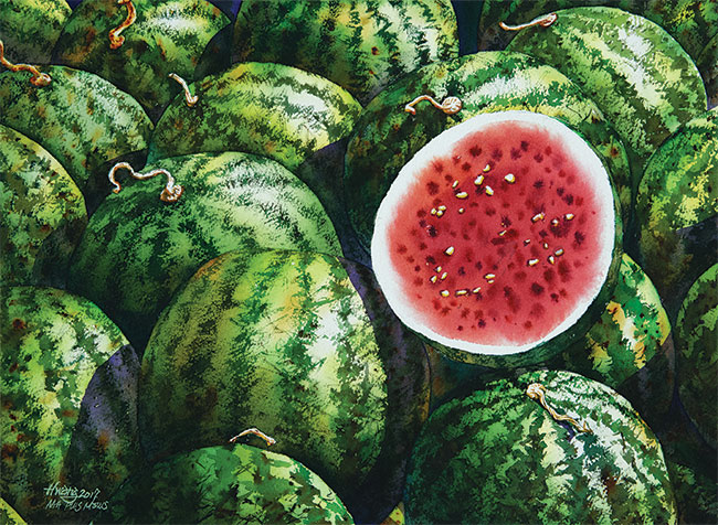 Watermelon No.4