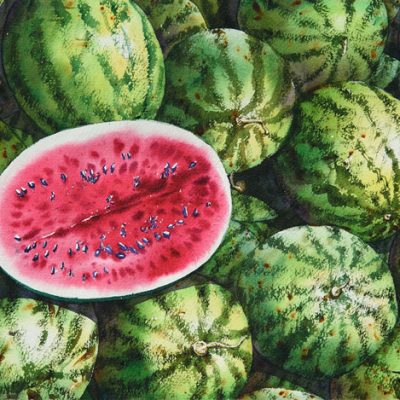 Watermelon No.6