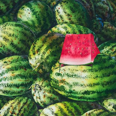 Watermelon No.8