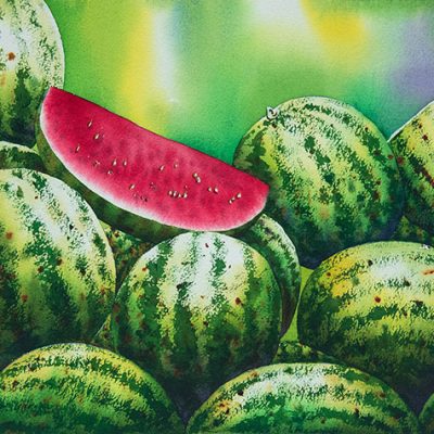Watermelon No.9
